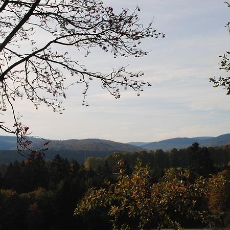 Landgasthof Gruss Brilon Exteriér fotografie