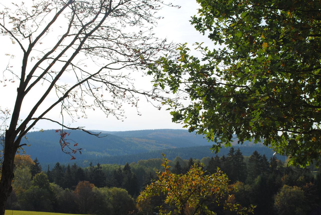 Landgasthof Gruss Brilon Exteriér fotografie