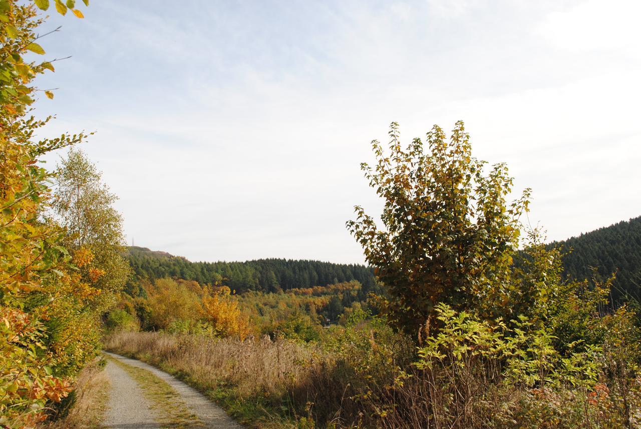 Landgasthof Gruss Brilon Exteriér fotografie