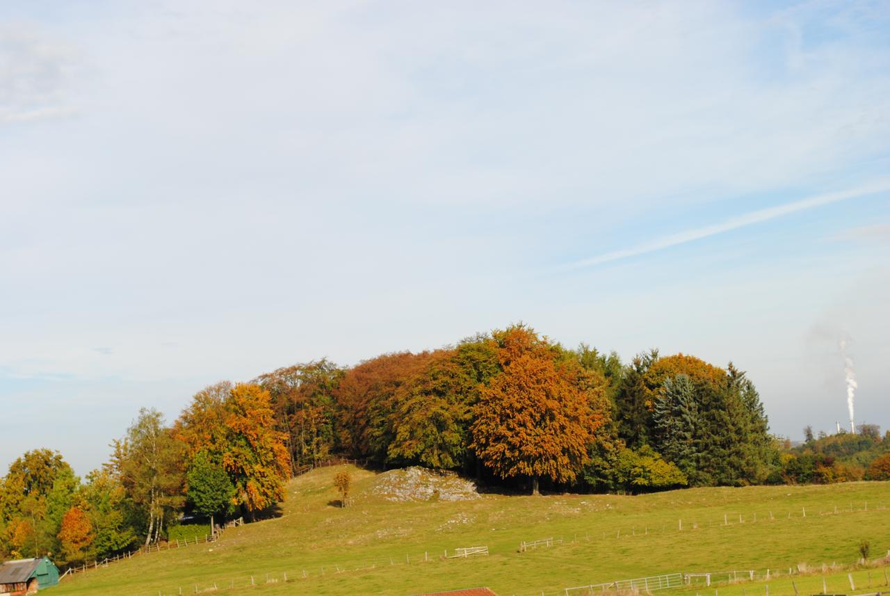 Landgasthof Gruss Brilon Exteriér fotografie